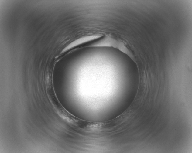 X0000078890084200612042101