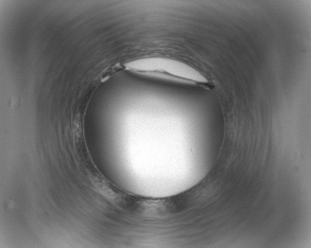 X0000078890085200612042101