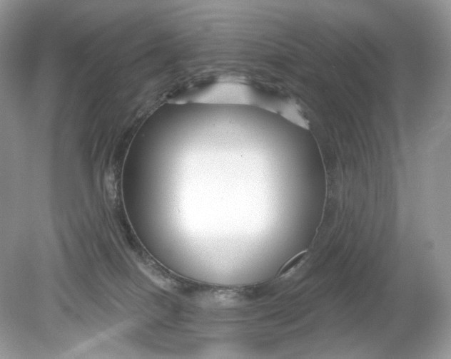 X0000078890086200612042101