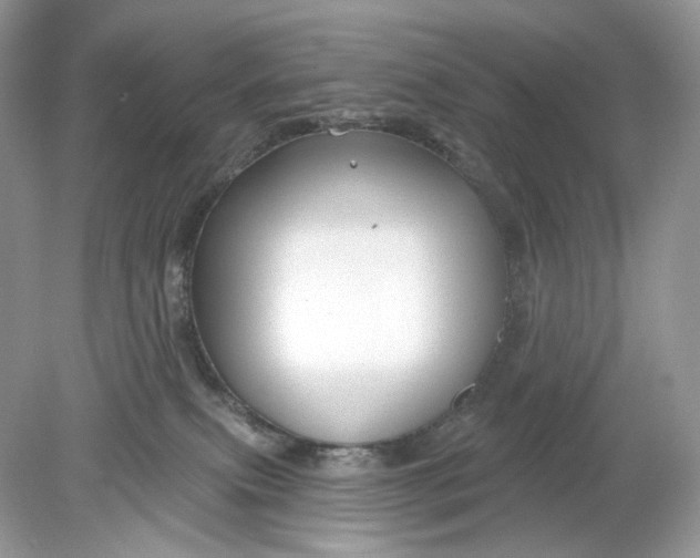 X0000078890087200612042101