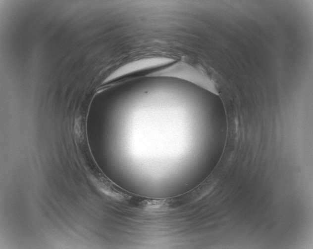 X0000078890088200612042101