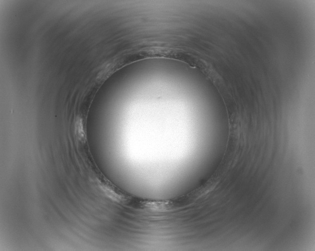 X0000078890089200612042101