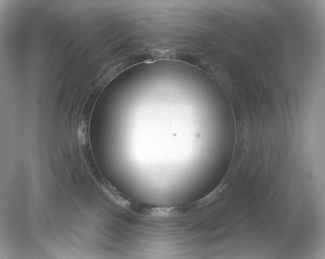 X0000078890090200612042101