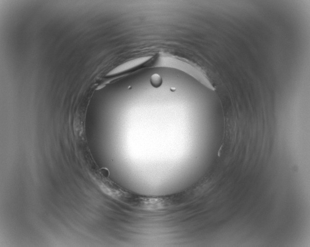 X0000078890091200612042101