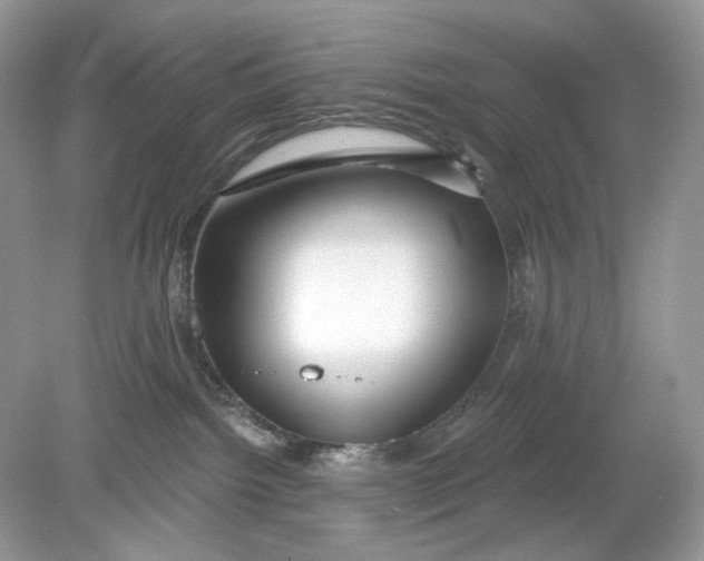 X0000078890092200612042101