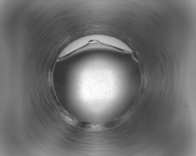 X0000078890093200612042101