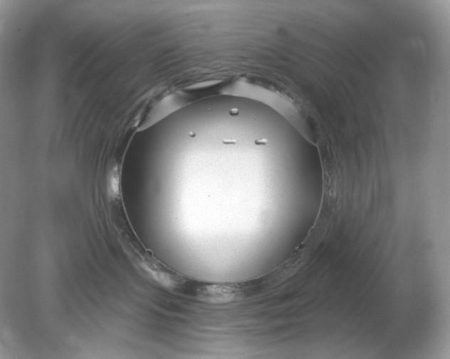 X0000078890095200612042101