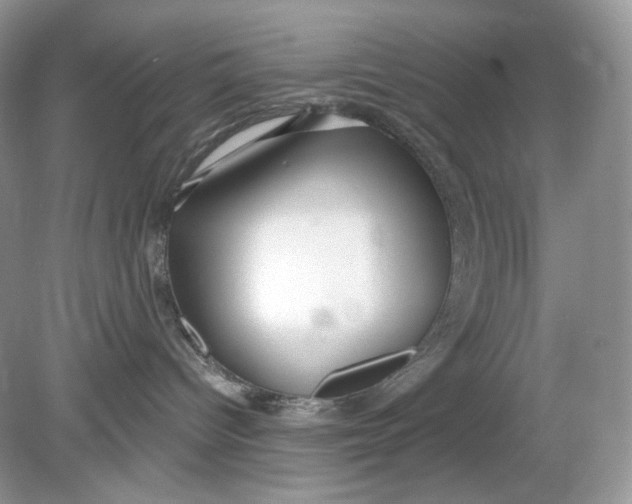 X0000078890096200612042101