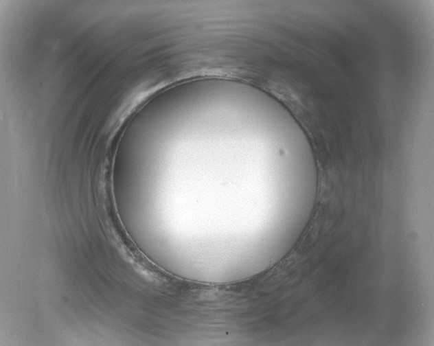 X0000078890098200612042100