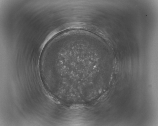 X0000078890099200612042100