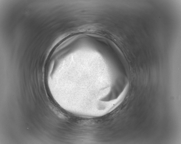 X0000078890100200612042100