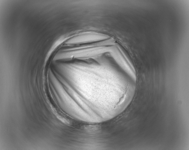 X0000078890102200612042100