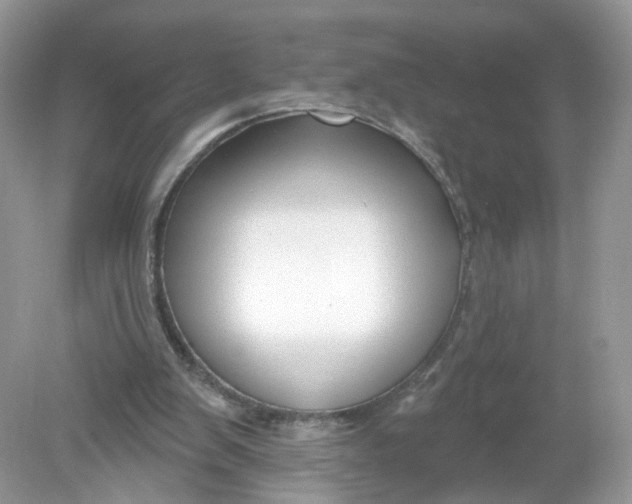 X0000078890103200612042100