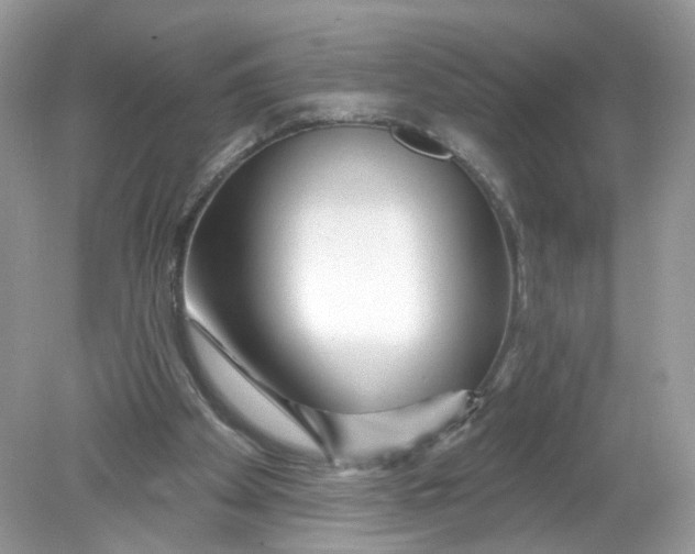 X0000078890105200612042100