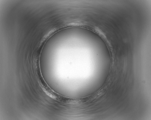 X0000078890106200612042100