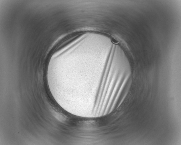 X0000078890108200612042100