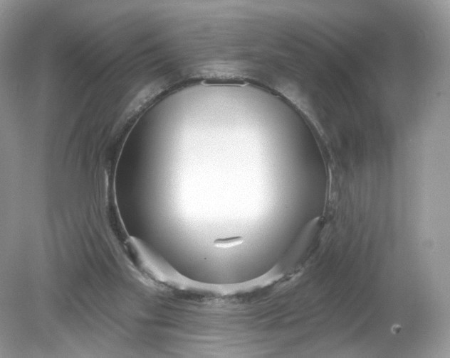 X0000078890109200612042100