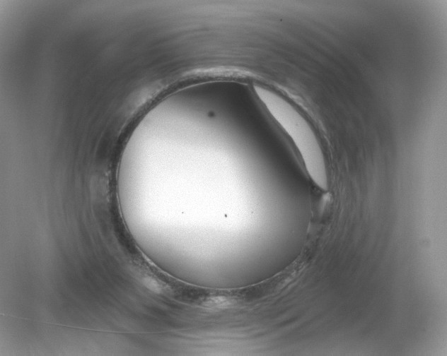 X0000078890111200612042100