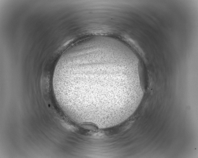 X0000078890113200612042100