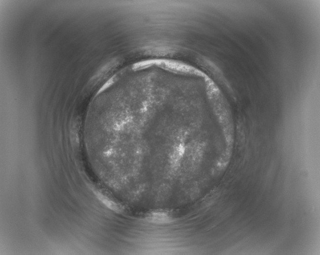 X0000078890114200612042100