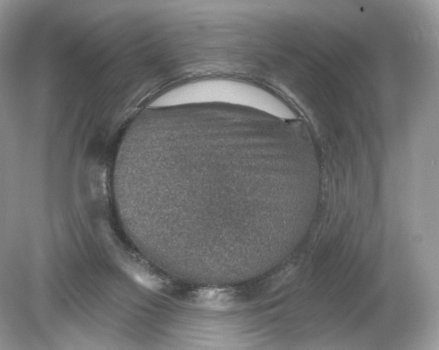 X0000078890117200612042100