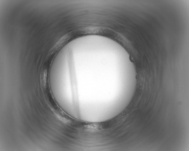 X0000078890118200612042100