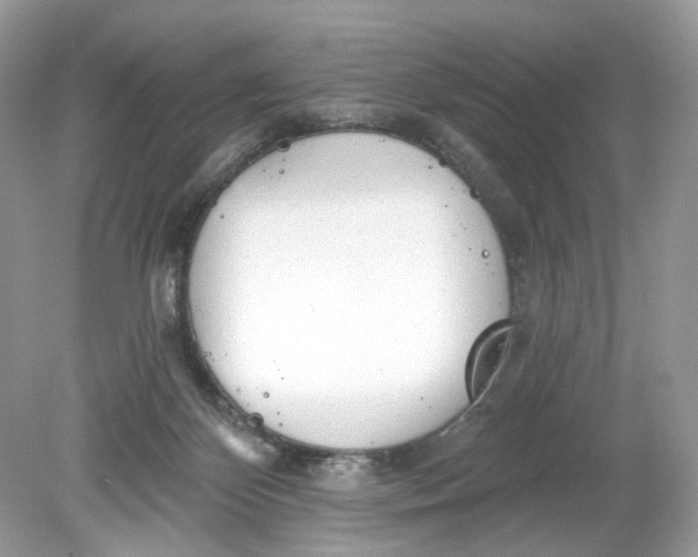 X0000078890124200612042100