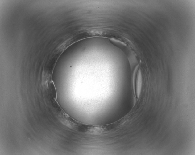 X0000078890125200612042100