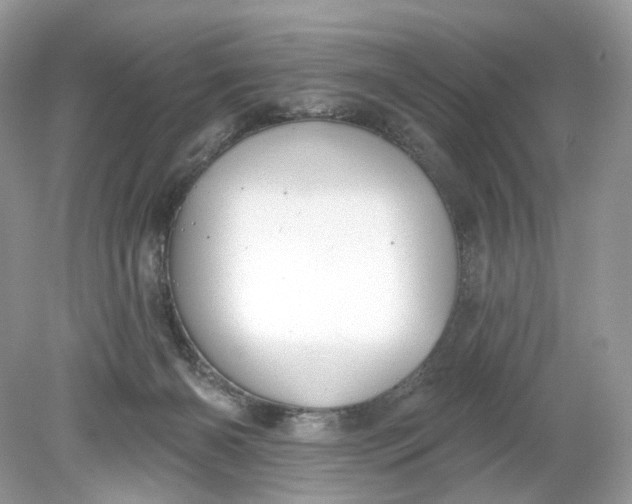 X0000078890126200612042100