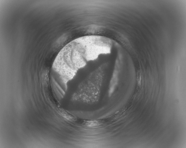 X0000078890127200612042100