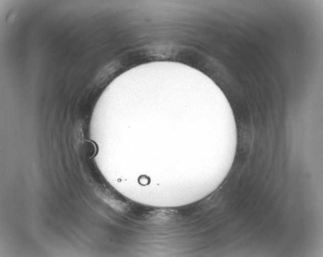 X0000078890128200612042100