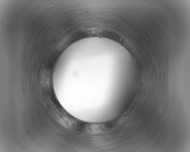 X0000078890129200612042100