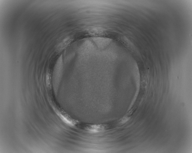 X0000078890130200612042100