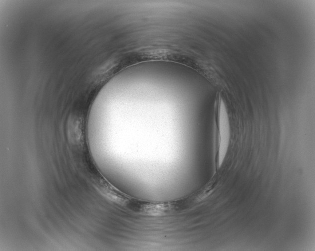 X0000078890131200612042100