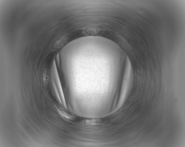 X0000078890134200612042100