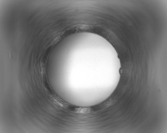 X0000078890135200612042100