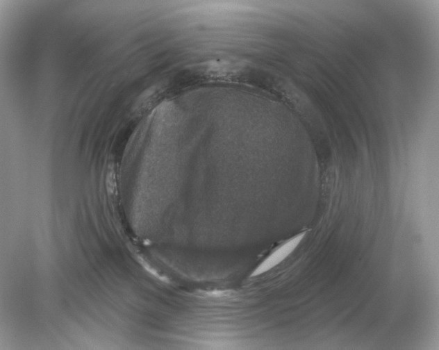 X0000078890137200612042100