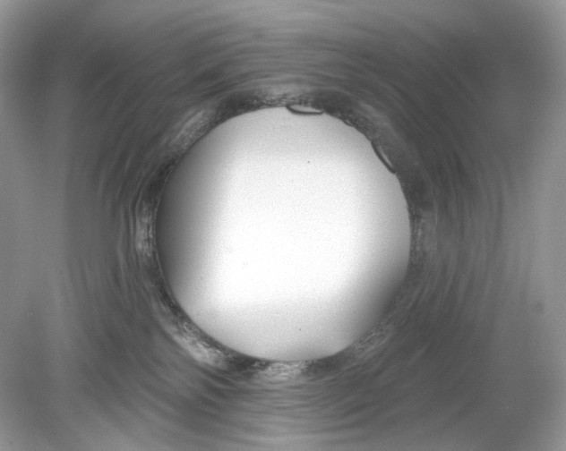 X0000078890138200612042100