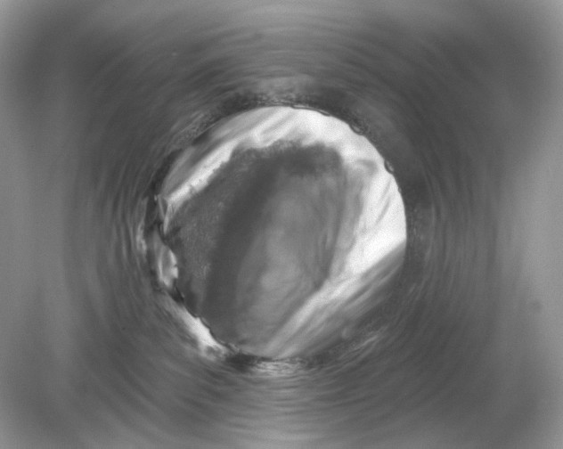 X0000078890139200612042100