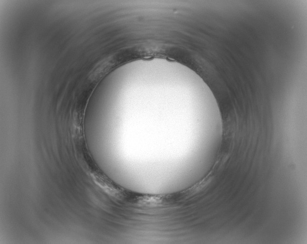 X0000078890140200612042100