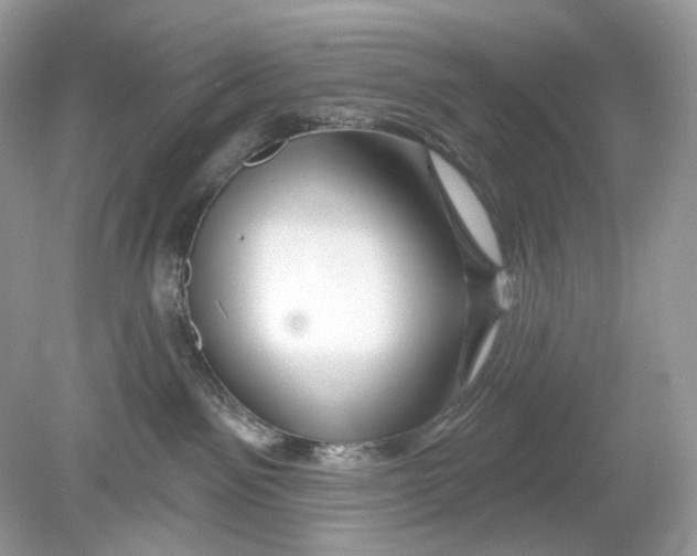 X0000078890141200612042100