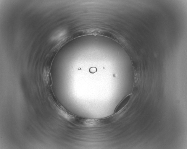 X0000078890142200612042100