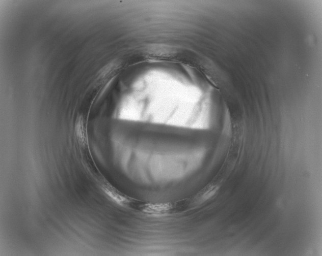 X0000078890143200612042100