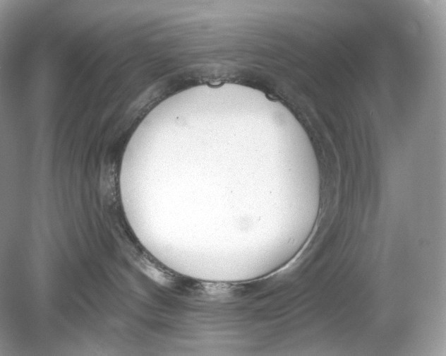 X0000078890144200612042100