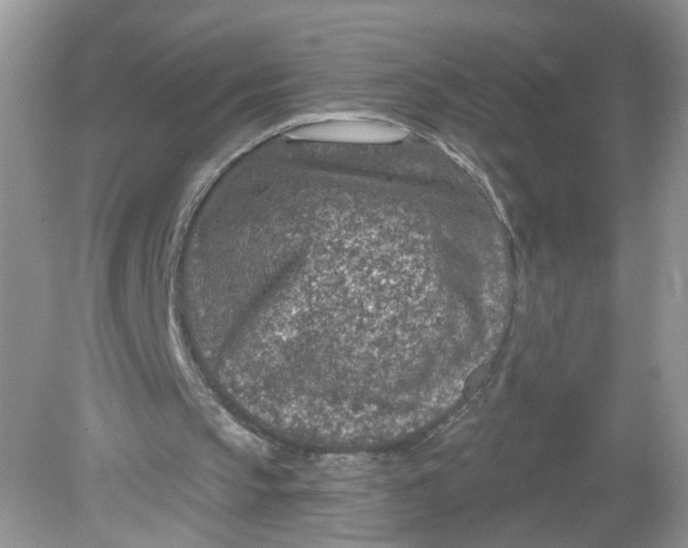 X0000078890145200612042059