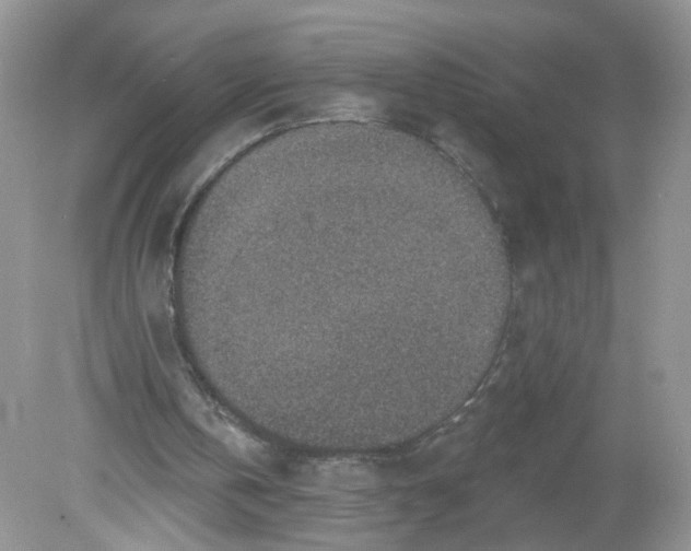 X0000078890146200612042059