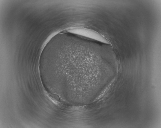 X0000078890147200612042059