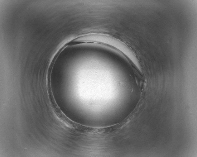 X0000078890148200612042059