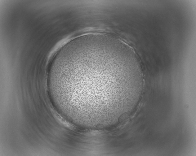 X0000078890149200612042059