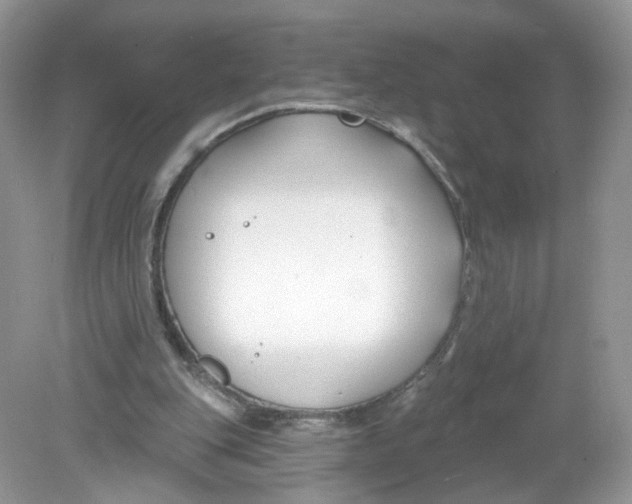 X0000078890151200612042059